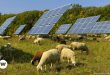 Európa: A napenergia virágzik az éghajlat felmelegedésével